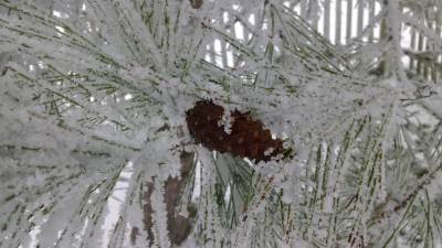  U Hrvatskoj već pao snijeg, zabijelilo se kod Zagreba 