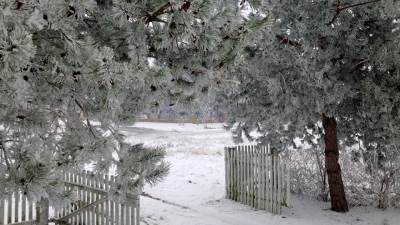  Snijeg pao u Dalmaciji 