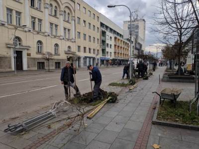  Jesenja sadnja drveća u Banjaluci 