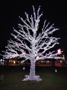  Banjaluka vandali uništili novogodišnje ukrase 