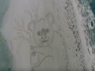  Džinovska koala na pesku simbol katastrofalnih požara u Australiji (VIDEO) 