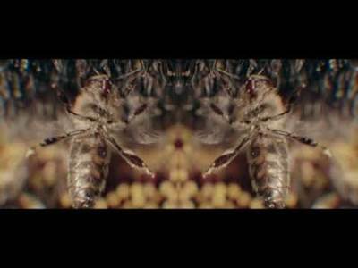  Hit dana MONDO redakcije 