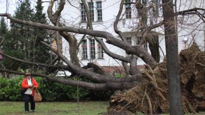  Jaka oluja "hara" Srbijom: Leteli krovovi u Kaću, deo Niša bez struje 