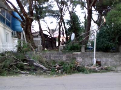  Oluja u Trebinju šteta zbog  