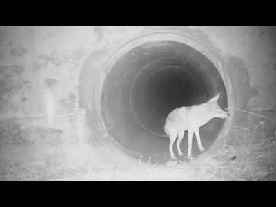  Neobično ali predivno prijateljstvo 