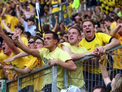  Navijaci-Borusije-Dortmund-kaznjeni-dve-godine-zabrane-ulaska-u-Hofenhajm-zbog-uvrede-vlasniku 