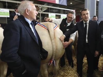  Posle 67 subota protesta, Makron obećao sastanak sa "žutim prslucima" 