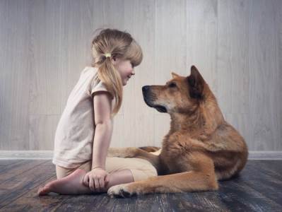  Top pet ljubimaca na Instagramu (FOTO, VIDEO) 