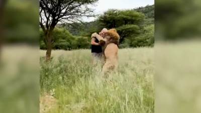  Neustrašivi "kralj lavova": Da li biste vi smeli ovo? (VIDEO) 