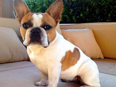  Tuga: Odlazak najslađe glumice iz hit serije (VIDEO) 