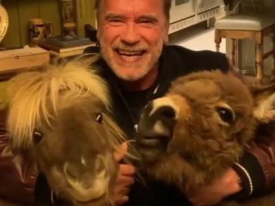  "Matori" Terminator u izolaciji: Evo njegovih savjeta protiv korone! VIDEO 