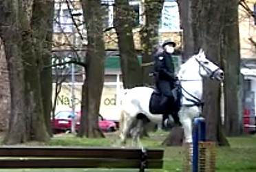  Policajci na konjima upozoravaju Banjalučane da se raziđu (VIDEO) 