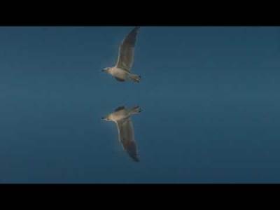  Hit dana: Pearl Jam - Quick Escape 