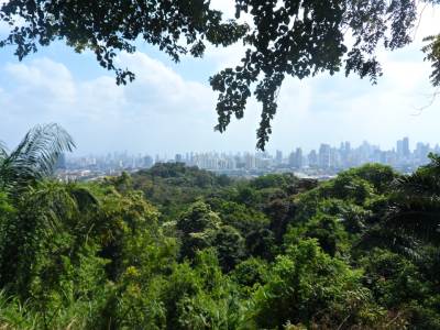  U Panami 1.700 migranata izolovano u džungli zbog korona virusa 