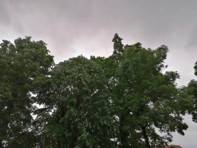  Prognoza vremena: Oblačno i vjetrovito, poslije podne kiša i pljuskovi u većini krajeva 