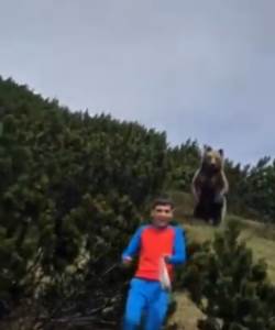  Polako hodaj i ne okreći se, iza tebe je medved! (VIDEO) 