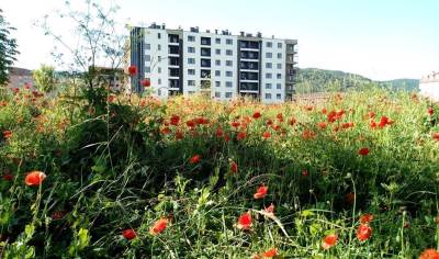  Kazna do 45.000 KM za zapuštena dvorišta u Banjaluci 