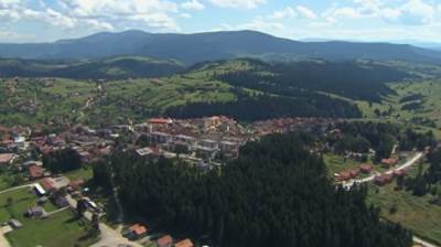  Medvjed rastrgao svinju kod Kneževa 