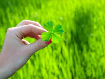  Vidovdan: Da li znate šta se danas radi da bi vam se "otvorile oči"? 