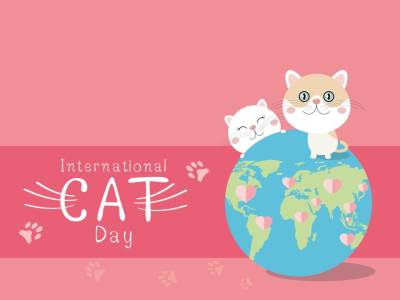  Srećan nam Međunarodni dan mačaka! (VIDEO) 