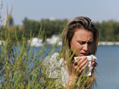  Sve što treba da znate o alergiji na polen ambrozije: Uzroci, simptomi, dijagnoza i liječenje 