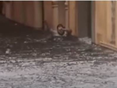  Stravične scene iz Verone: Komadi leda plutaju ulicama, voda ljudima do vrata (VIDEO) 