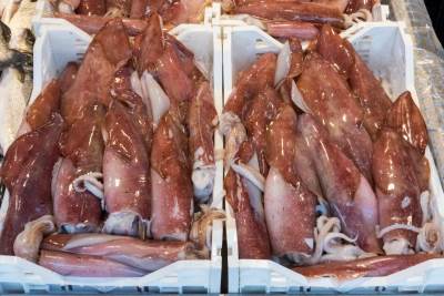  Na ambalaži lignji pronađen korona virus! Svi koji su ih jeli moraju da se prijave vlastima 