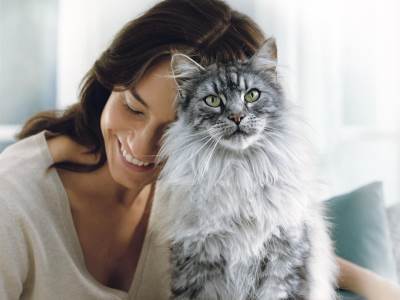  Kućni ljubimac koji liječi stres: Osam zanimljivih činjenica koje bi trebalo da znate o mačkama 