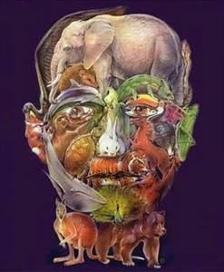  Brzi test za otkrivanje neizlečive bolesti je prevara? Samo retki vide kamilu na slici, a ona je ključ! 