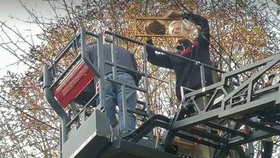  Akcija "spašavanja" pčela u centru Banjaluke! (FOTO, VIDEO) 