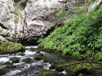  Trgovina vodom Wall Street 