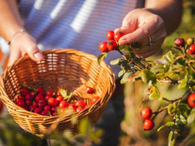  Dvije namirnice koje su "bomba" za gvožđe u krvi: Ako ste anemični, jedite ih svakog dana i pucaćete od zdravlja! 