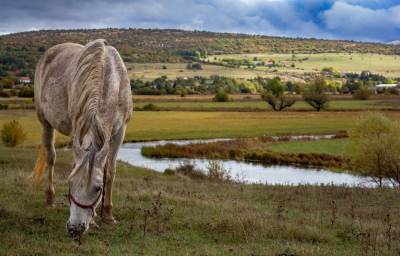  Upoznajte turističke bisere Kupresa, Livna, Tomislavgrada, Blidinja... (FOTO, VIDEO) 
