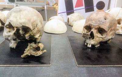  Pronađene lobanje stare 2 miliona godina! 