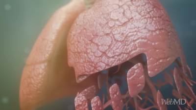  Kako zvuče zdrava, a kako pluća pod upalom? Postoje 4 različite vrste disanja na koja treba da obratite pažnju VIDEO 