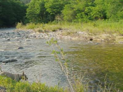  Predstavljen film "Čuvari rijeka" i stranica putem koje možete prijaviti ekološke probleme 