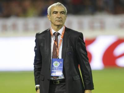  remon-domenek-ne-preuzima-srbiju-trener-nanta 