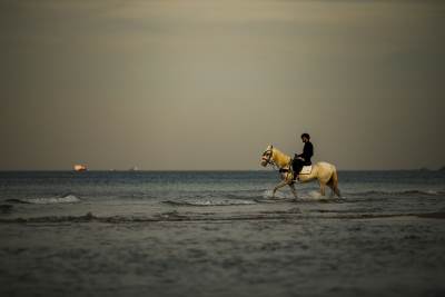  I Turska uvodi obavezan negativan test za ulazak u zemlju 