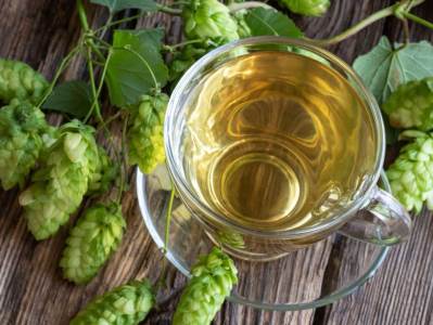  Od ove biljke se pravi pivo, ali i veoma zdrav čaj 