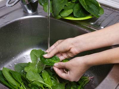  Nutricionistkinja otkrila najveće greške sa spanaćem: Ako ga ovako čuvate, upropastićete ga, a jednu vrstu ne kupujte! 