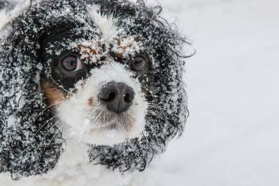  Danas oblačno sa padavinama 