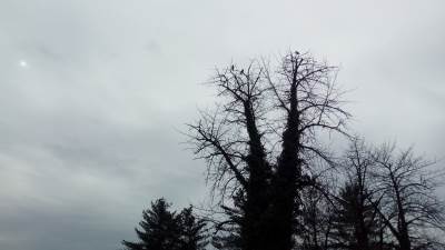  Danas uglavnom oblačno 