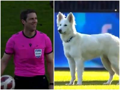  Hit snimak! Pas predsjednika kluba prekinuo utakmicu: Gazda morao da siđe na teren po svog ljubimca! 