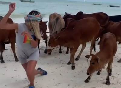  Lanu Čolak udarila krava na plaži 