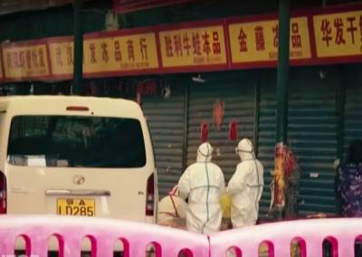  Majmunske boginje u Kini 