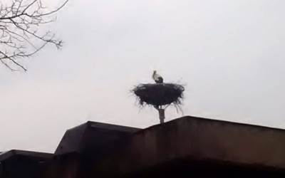  "Rodić" se vratio u snježni Bratunac (FOTO) 