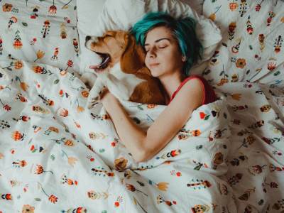  10 razloga zbog kojih su mješanci posebniji od čistokrvnih pasa 