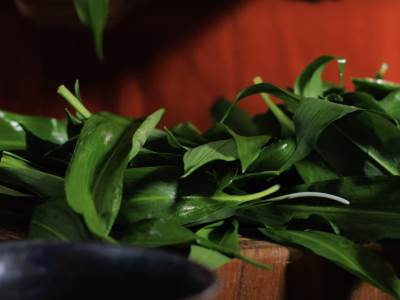  Sremuš recepti konzerviranje kako se čuva 