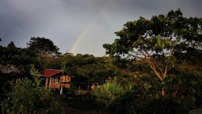  Upozorenje naučnika zbog izumiranja vrsta 