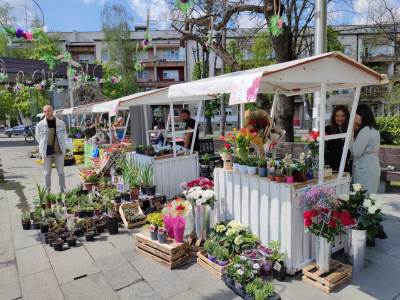  "Banjalučko proljeće": Festival cvijeća od 15. do 17. aprila 